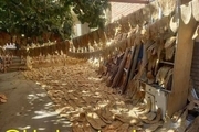 احتکار 5 هزار نان در حیاط یک خانه! + عکس و فیلم