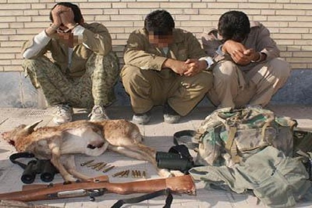 142 شکارچی غیر مجاز در اردبیل دستگیر شدند
