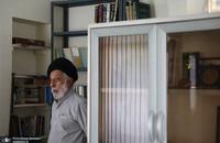 هادی خامنه ای