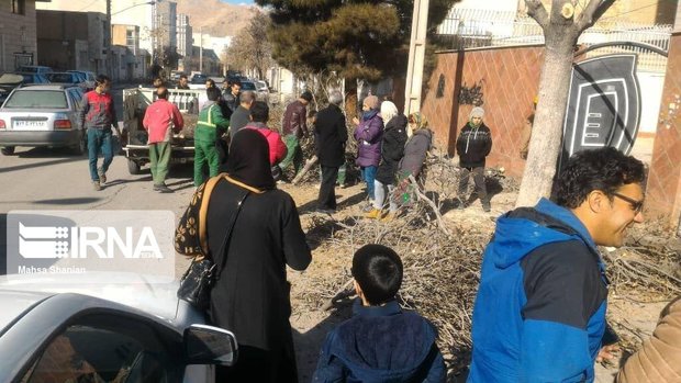 مخالفت جمعی از مردم شاهرود با هرس سنگین درختان این شهر