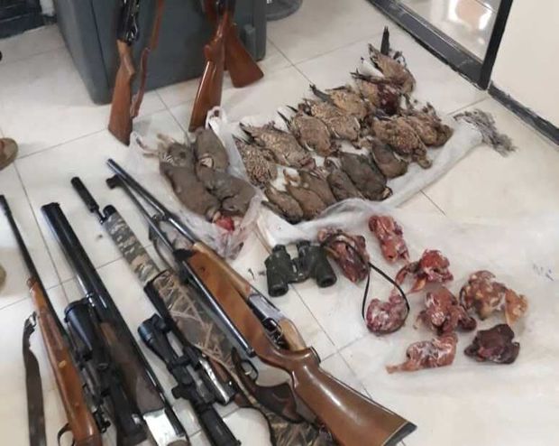 ۲ متخلف حرفه‌ای شکار پرندگان وحشی در کرمان دستگیر شدند