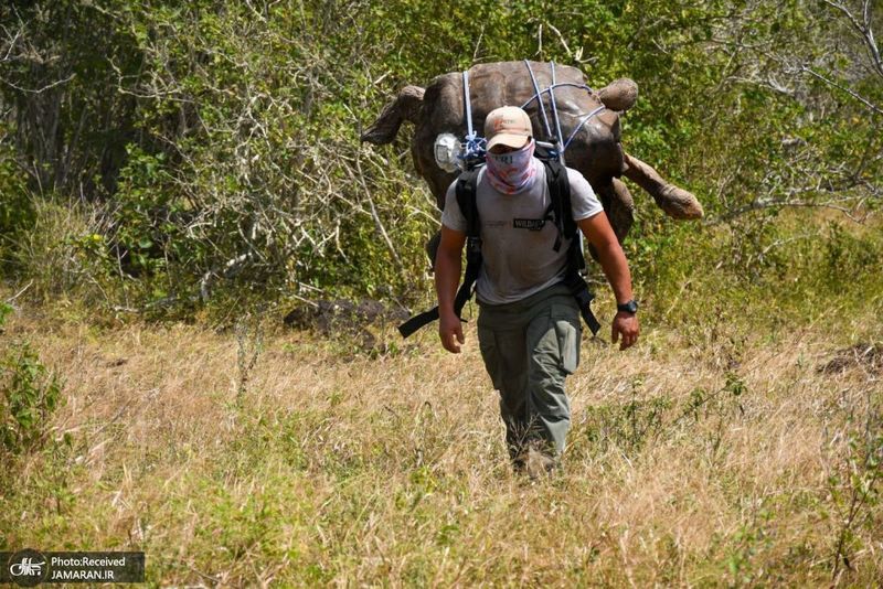 منتخب تصاویر امروز جهان- 29 خرداد