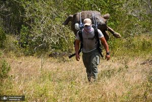 منتخب تصاویر امروز جهان- 29 خرداد