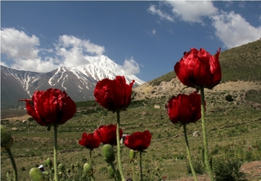 پیش بینی اردیبهشت آرام برای اسمان مازندران