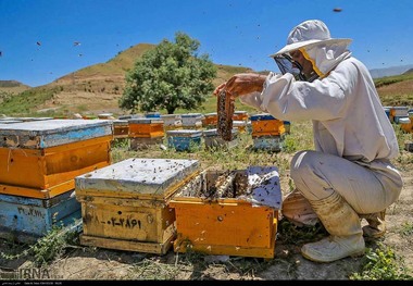 هفت میلیارد ریال تسهیلات به عشایر مسجدسلیمان پرداخت شد