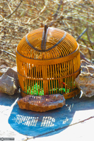 طبیعت بکر و بی‌نظیر نودشه