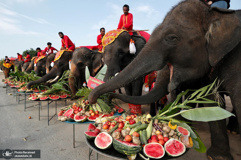 منتخب تصاویر امروز جهان - 24 و 25 اسفند 1403