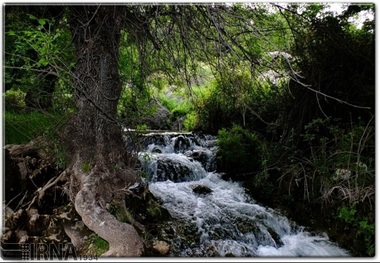 جاذبه های گردشگری کهگیلویه و بویراحمد؛ از غار ده شیخ تا رود رونه