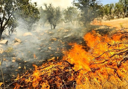 ۴ عامل انسانی در آتش‌سوزی چوار شناسایی شدند