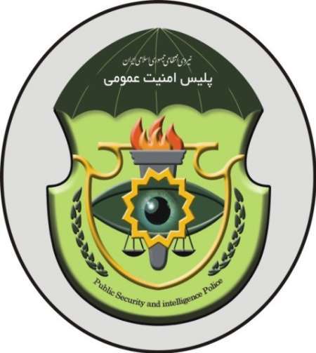 دستگیری سرکردگان اراذل و اوباش در تایباد