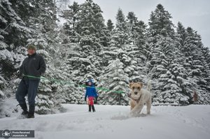 منتخب تصاویر امروز جهان - 16 بهمن 1401