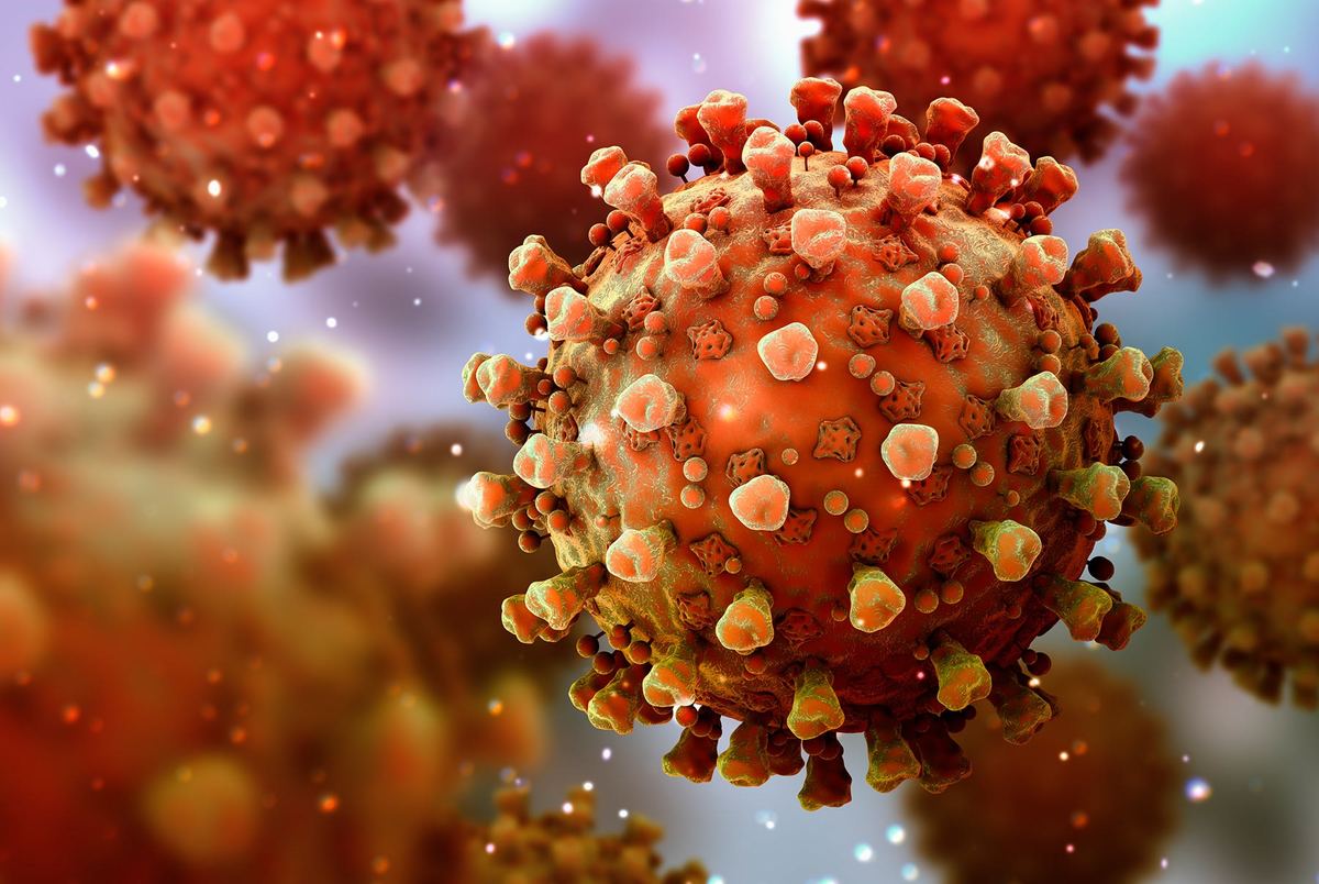 سفر دانشمندان به چین برای بررسی منشا ویروس کرونا