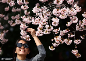 منتخب تصاویر امروز جهان - 24 و 25 اسفند 1403