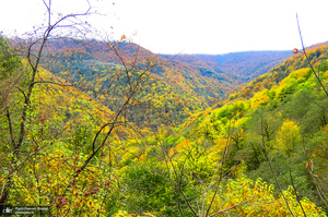 آبشار لونک دیلمان
