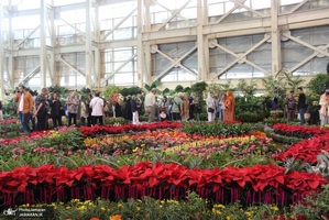 نمایشگاه گل و گیاه (58)