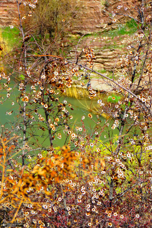 تنگه لی لی دورود