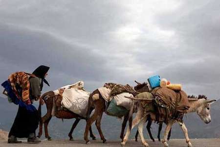 هشدار هواشناسی: عشایر استان ایلام از تجمع در حاشیه رودخانه ها اجتناب کنند
