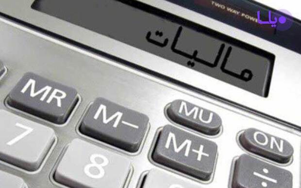 شرکت‌ها، بانک‌ها و موسسات دولتی فقط 3.5 درصد مالیات کشور را می‌پردازند
