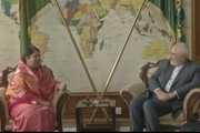 دیدار و گفتگوی دکتر ظریف با رییس پارلمان بنگلادش 