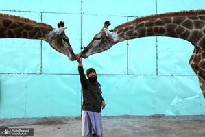 منتخب تصاویر امروز جهان- 27 آذر