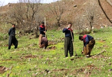 عملیات آبخیزداری در 1196 هکتار از اراضی شهرستان سنندج اجرا می شود