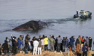 منتخب تصاویر امروز جهان - 28 دی 1401