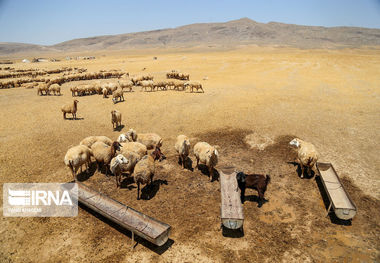 آغاز اجرای عملیات آبرسانی به ۴۲ محله عشایری شیروان