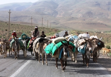 عشایر وارد مراتع همدان شدند