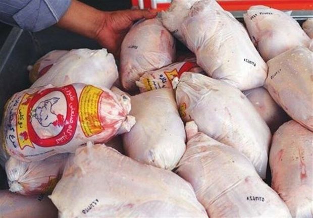 خرید بیش از ٧٠٠ تن مرغ مازاد از مرغداران گیلان