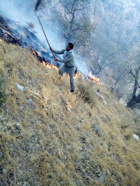 آتش‌سوزی در 30 هکتار از جنگل‌های باشت و گچساران