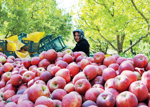 افزایش ۱۶۶ درصدی صادرات آذربایجان غربی  نسبت به سال گذشته