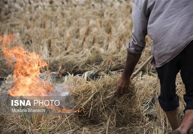 آتش زدن کاه و کلش؛ رسمی که ماندگار شد