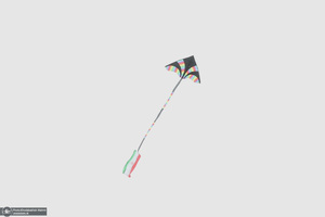 راهپیمایی باشکوه 22 بهمن-9