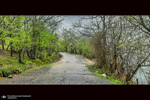 دریاچه آویدر نوشهر