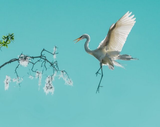 بهترین‌ عکس‌های طبیعت جهان را ببینید