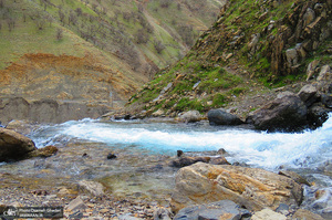 روستای سفیدآب پاوه