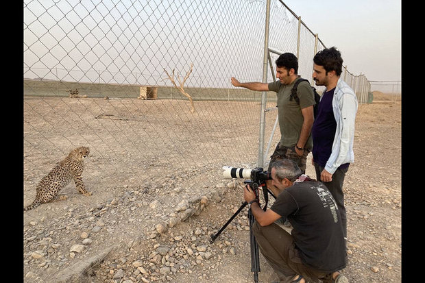 حداقل دستمزد کارگردانی مستند اعلام شد