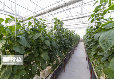 ۱۳ طرح در شهرستان خانمیرزا به بهره‌برداری رسید