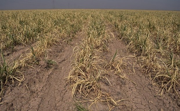 ۹۲۶ میلیارد تومان برای جبران خسارت سیل به کشاورزی خوزستان اختصاص یافت