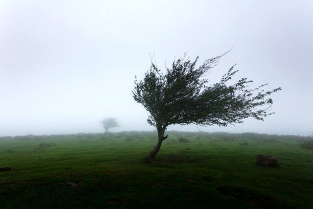 تند باد ۸۶ کیلومتری بامدادی مازندران خسارتی در پی نداشت