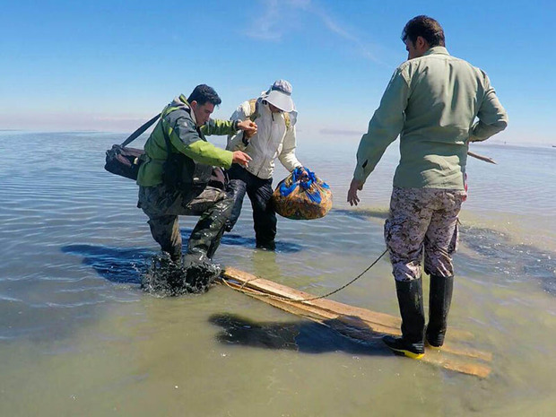 مستند بخت سپید فردا اول فروردین  از سیمای آذربایجان غربی پخش می شود