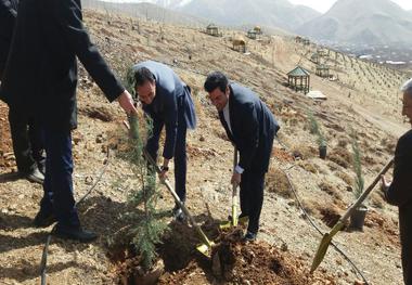 400 اصله نهال در منطقه گردشگری چشمه‌اعلا غرس شد