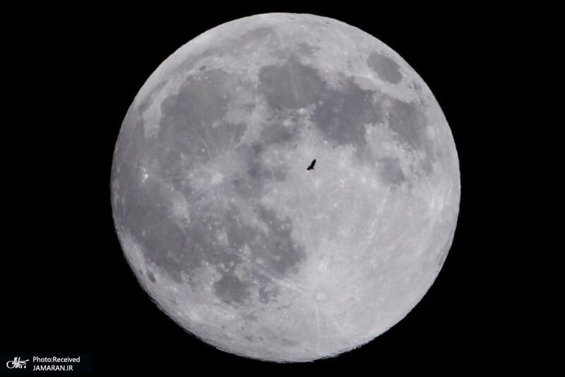 منتخب تصاویر امروز جهان- 7 اردیبهشت 1400