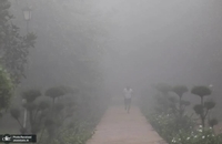 مه دود غلیظ پایتخت هند را فرا گرفت (4)