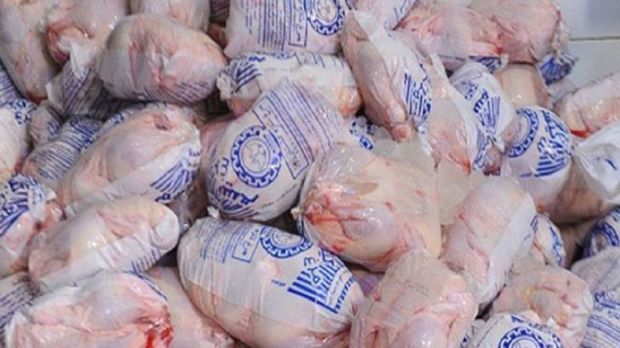 حدود 80 تن مرغ منجمد درالبرز توزیع شد