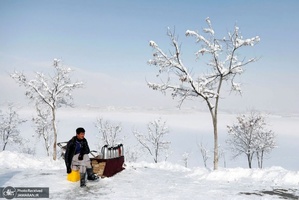 منتخب تصاویر امروز جهان- 16 بهمن