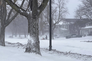 برف  و کولاک در آمریکا جان 34 نفر را گرفت
