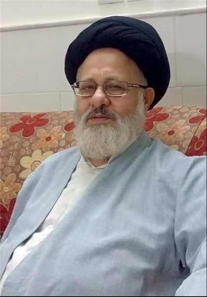 آیت الله سجادی: نباید با سیاه، سفید و حلال و حرام خواندن رای مردم، اصل قضیه و آن حضور باشکوه مردم در انتخابات را زیر سوال ببریم