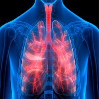  درمان "فیبروز سیستیک" با کمک یک پروتئین