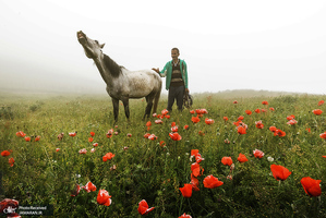منتخب تصاویر امروز جهان- 7 اردیبهشت 1400